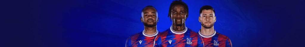 sudoku x wing explained
